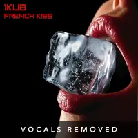 French Kiss (vocals removed) by 1KUB