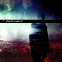 Pieces (extended) by Adam Fielding