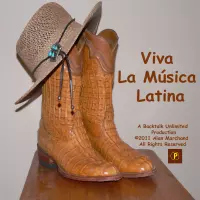 Viva La Musica Latina by Alan Marchand