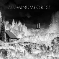 Aluminum Forest by Aluminum Forest