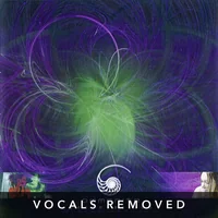 [Reconnection (vocals removed) by Ammonite]