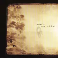 Watchful by Amoeba