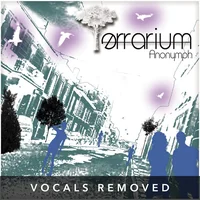 [Terrarium (vocals removed) by Anonymph]