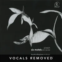 [JS Bach Six Motets BWV 225-230 (vocals removed) by Bach Collegium San Diego]