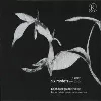 [JS Bach Six Motets BWV 225-230 by Bach Collegium San Diego]