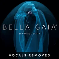 Beautiful Earth (vocals removed) by Bella Gaia