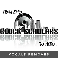 From Zero to Hero (vocals removed) by Block Scholars