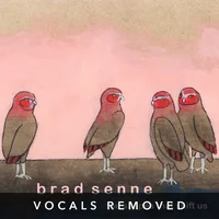 The Shapes That Shift Us (vocals removed) by Brad Senne