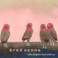 [The Shapes That Shift Us by Brad Senne]