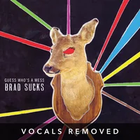 Guess Who's a Mess (vocals removed) by Brad Sucks