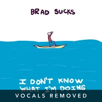 I Dont Know What Im Doing (vocals removed) by Brad Sucks