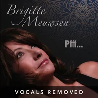 Pfff (vocals removed) by Brigitte Meuwsen