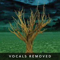 Everything in Nature (vocals removed) by Broken Poets