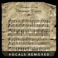 Optimism in E minor (vocals removed) by Broken Poets
