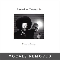 Blues and misc (vocals removed) by Burnshee Thornside