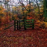 Countryside Stroll by Cari Live