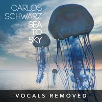 Sea to Sky (vocals removed) by Carlos Schwarz