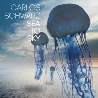 Sea to Sky by Carlos Schwarz