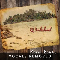 Wonderland (vocals removed) by Cary Kanno