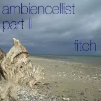 Ambiencellist Part II by Claire Fitch
