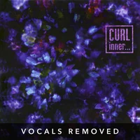 [Inner (vocals removed) by Curl]