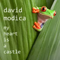 My Heart Is A Castle by David Modica