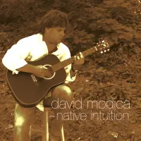 Native Intuition by David Modica