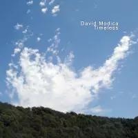 Timeless by David Modica