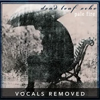 [Pale Fire (vocals removed) by Dead Leaf Echo]