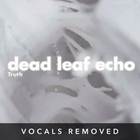 [Truth (vocals removed) by Dead Leaf Echo]