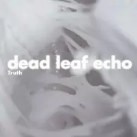 Truth by Dead Leaf Echo