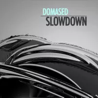 [Slowdown by Domased]
