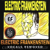 [Conquers The World (vocals removed) by Electric Frankenstein]