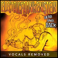 [Dead and Back (vocals removed) by Electric Frankenstein]