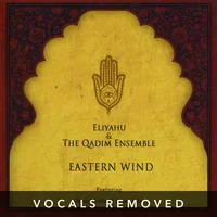 [Eastern Wind (vocals removed) by Eliyahu Sills]