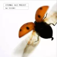 [Seasons by Eternal Jazz Project]