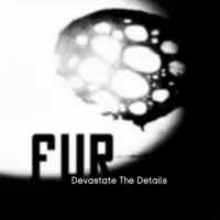 [Devastate the Details by FUR]