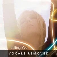 [Adore (vocals removed) by Falling You]