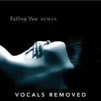 [Human (vocals removed) by Falling You]