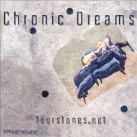 [Chronic Dreams by Four Stones]