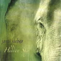Hidden Sky by Jami Sieber