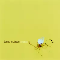 Traces by Jesus in Japan