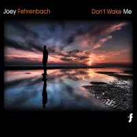 Don't Wake Me by Joey Fehrenbach
