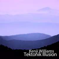 Tektonik Illusion by Kenji Williams