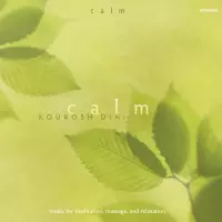 Calm by Kourosh Dini