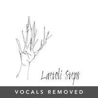 [Laetoli Steps (vocals removed) by Laetoli Steps]