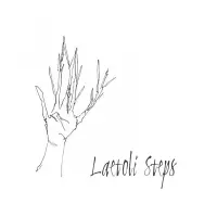 [Laetoli Steps by Laetoli Steps]