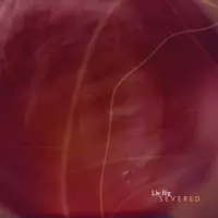 Severed by Lie Big