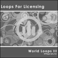 [World Loops 3 by Loops For Licensing]