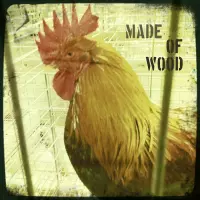 Birds of the State Fair by Made of Wood